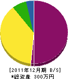 丸田建設 貸借対照表 2011年12月期