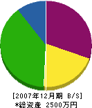 藤本建設 貸借対照表 2007年12月期