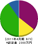 丸竹竹内金物店 貸借対照表 2011年4月期
