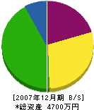 中山塗装店 貸借対照表 2007年12月期