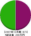 内川塗装店 貸借対照表 2007年12月期