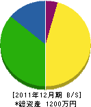 尾崎電気店 貸借対照表 2011年12月期