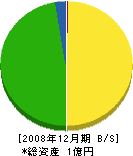 柴垣組 貸借対照表 2008年12月期