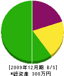 横田設備 貸借対照表 2009年12月期 横田設備 貸借対照表 2009年12月期