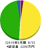 大村土木開発 貸借対照表 2010年6月期