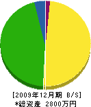 堀田電工 貸借対照表 2009年12月期