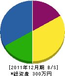 山崎組 貸借対照表 2011年12月期