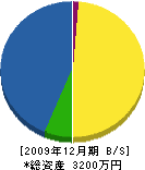 島津塗装店 貸借対照表 2009年12月期