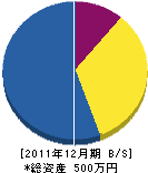 坂﨑美装工業 貸借対照表 2011年12月期