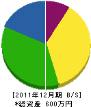 永井塗装 貸借対照表 2011年12月期