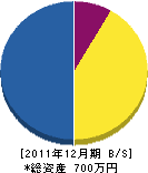 佐希太 貸借対照表 2011年12月期 佐希太 貸借対照表 2011年12月期