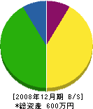 野上鉄工所 貸借対照表 2008年12月期