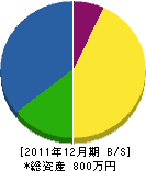 笹森電工 貸借対照表 2011年12月期