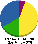 澤口風呂店 貸借対照表 2011年12月期