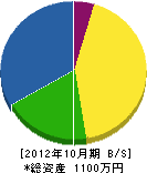 大沢造園 貸借対照表 2012年10月期