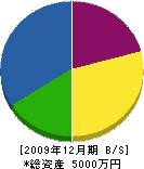 鎌田造園土木 貸借対照表 2009年12月期