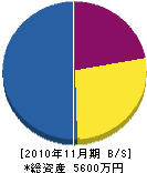椎名土建 貸借対照表 2010年11月期