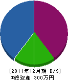 安田塗装店 貸借対照表 2011年12月期