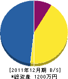 庭松 貸借対照表 2011年12月期
