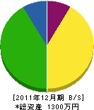 田川栄楽園 貸借対照表 2011年12月期