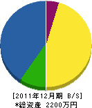 石毛電機工業 貸借対照表 2011年12月期 石毛電機工業 貸借対照表 2011年12月期