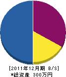 増田商店 貸借対照表 2011年12月期