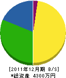 上村電気工事店 貸借対照表 2011年12月期