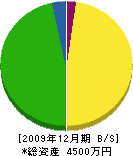 横尾建設 貸借対照表 2009年12月期