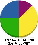 神谷水道工事店 貸借対照表 2011年12月期