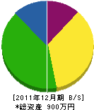 相澤建装 貸借対照表 2011年12月期