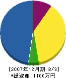 中野塗装 貸借対照表 2007年12月期