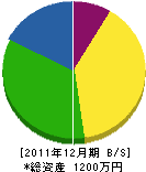 安永石工業 貸借対照表 2011年12月期