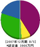 坂口土木 貸借対照表 2007年12月期