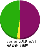 富島組興業 貸借対照表 2007年12月期