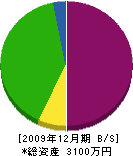笠島造園 貸借対照表 2009年12月期