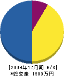竹田工業 貸借対照表 2009年12月期