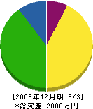 阪南電設工業社 貸借対照表 2008年12月期