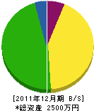 岩隈電工 貸借対照表 2011年12月期