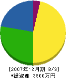 井手電気商会 貸借対照表 2007年12月期