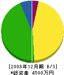 龍工業 貸借対照表 2008年12月期