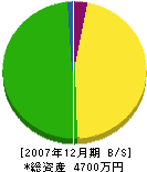 塗装店澤田 貸借対照表 2007年12月期