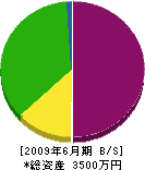 津久井組 貸借対照表 2009年6月期