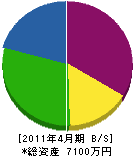 （合）松本造園 貸借対照表 2011年4月期