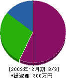 ヨシダ工房 貸借対照表 2009年12月期 ヨシダ工房 貸借対照表 2009年12月期
