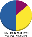 當亜電設 貸借対照表 2011年12月期