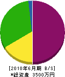 津久井組 貸借対照表 2010年6月期