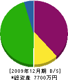 佐藤技建 貸借対照表 2009年12月期