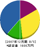 杉本塗装 貸借対照表 2007年12月期