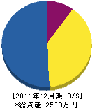 塚本電気工業 貸借対照表 2011年12月期