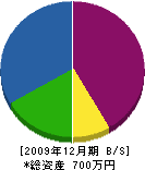 橋本建設 貸借対照表 2009年12月期
